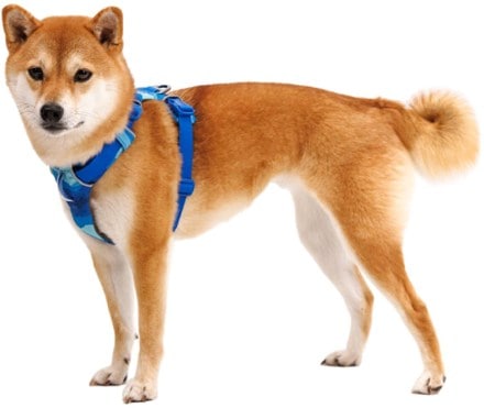 Ruffwear Front Range Dog Harness 6