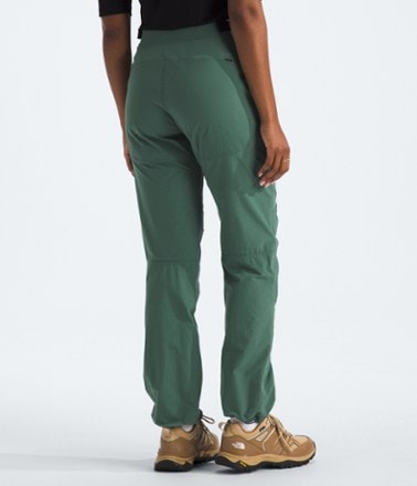 The North Face Basin Pro Pants - Women's 1
