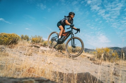 Salsa Wanderosa C Apex Eagle 29" Electric Bike 10