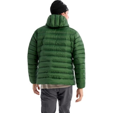 Arc'teryx Cerium Down Hoody - Men's 2