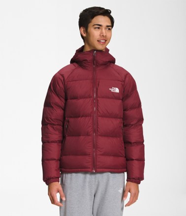 Gebruikelijk Universeel Overvloed The North Face Hydrenalite Down Hoodie - Men's | REI Co-op