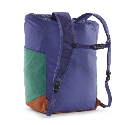 Patagonia Terravia Tote Pack 24 L 3