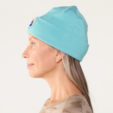 REI Co-op Graphic Cuff Beanie 2