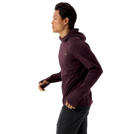 Arc'teryx Cormac Heavyweight Hoody - Men's 4