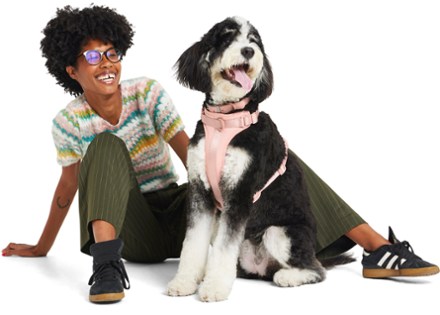 Wild One Waterproof Dog Collar Harness not included