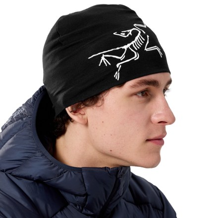 Arc'teryx Satoro Merino Toque | REI Co-op