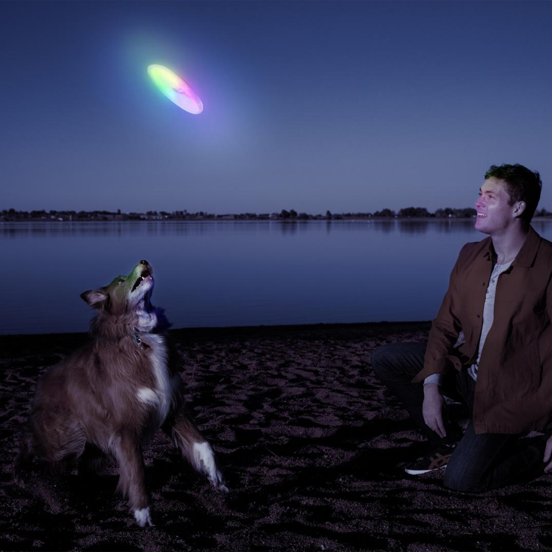 Location Image for Flashflight LED Dog Discuit Flying Disc