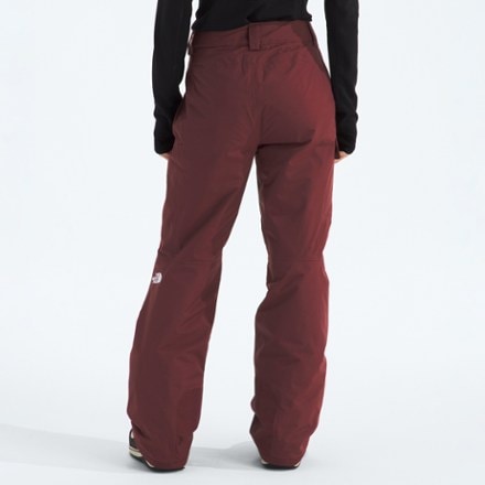 The North Face Freedom Insulated Snow Pants - Women's 1