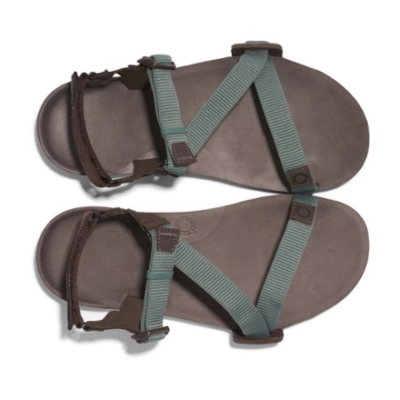 Xero Shoes Z-Trail EV Sandals - Men's 5