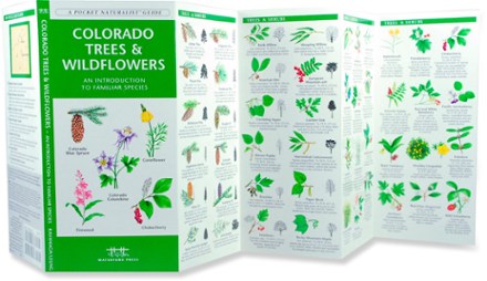Colorado Trees And Wildflowers A Pocket Guide To Familiar Species Rei Co Op