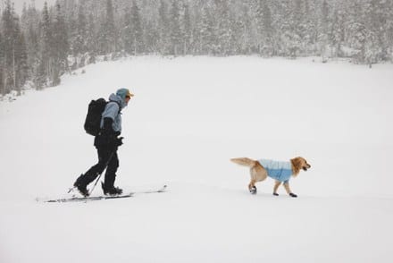 Location Image of color Polar Blue