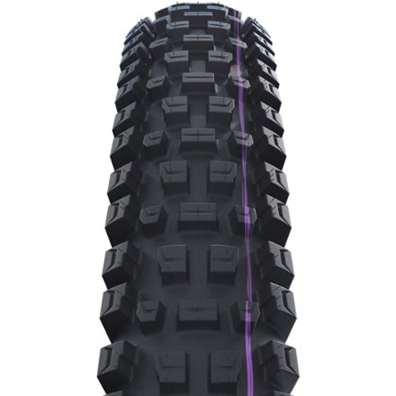 Schwalbe Albert Gravity Pro Tire - ADDIX Ultra Soft - 29 1