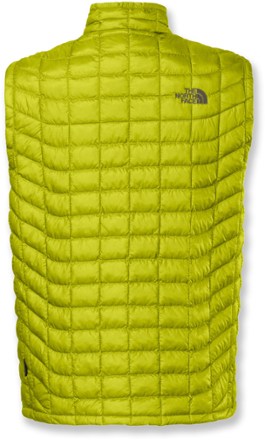 Back View (Venom Yellow)