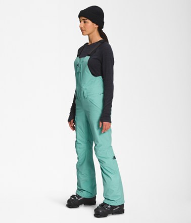 The North Face Freedom Bib Pants - Women's 2