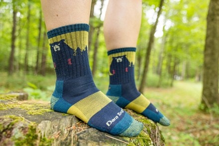 Darn Tough Bear Town Micro Crew Socks - Women's 2