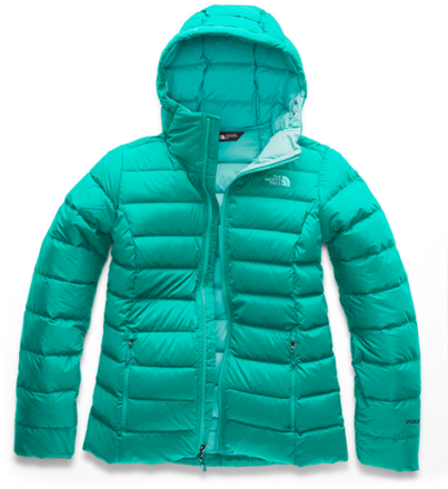 the north face stretch down jacket womens