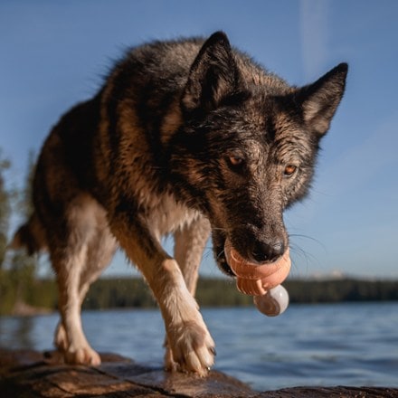 Bark Doggone Fishin' Super Chewer Dog Toy 3