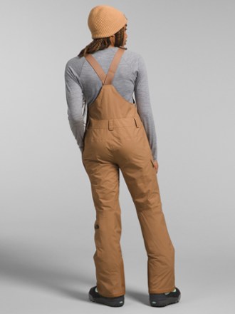 The North Face Freedom Bib Pants - Women's Tall Sizes 1