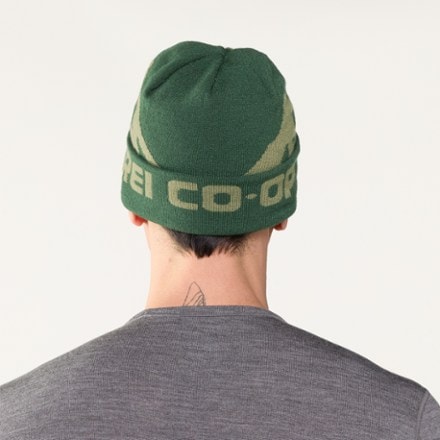 REI Co-op Graphic Cuff Beanie 3