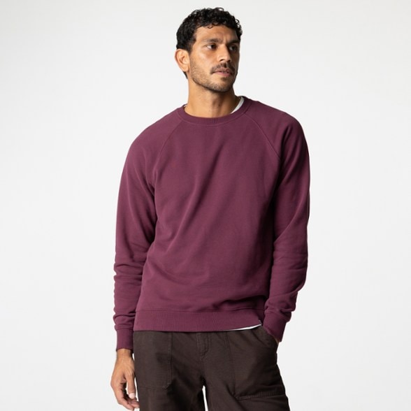 On Body Image of color Plum