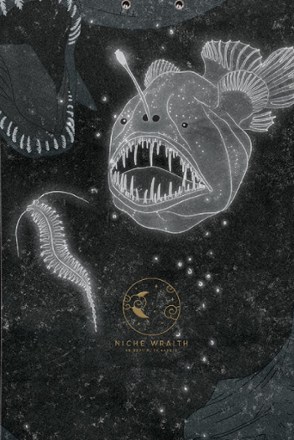 NICHE Wraith Snowboard 2