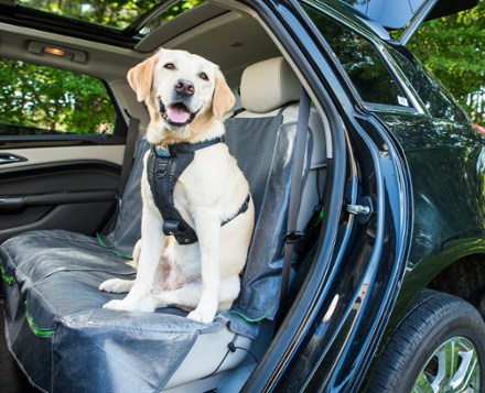 In Use (Black/Green)