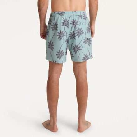 Roark Shorey Trunks - Men's 1