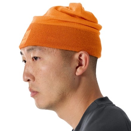 Arc'teryx Color Block Toque 3