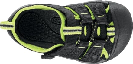 KEEN Newport H2 Sandals - Toddlers' 6