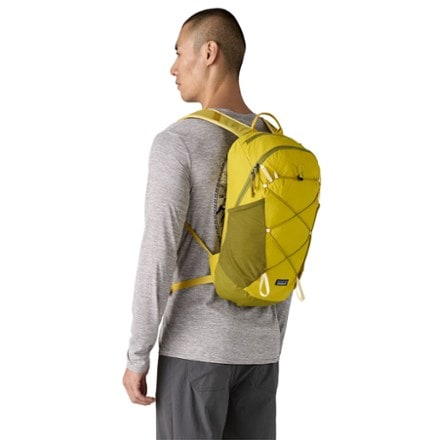 Patagonia Terravia Pack 14 L 1
