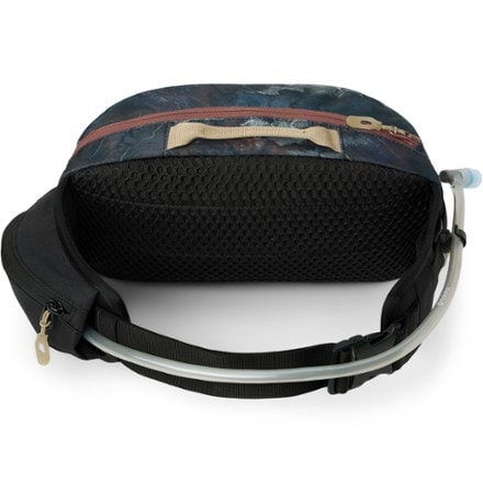DAKINE Hot Laps 5 L Hip Pack 1