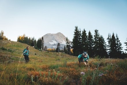 Ruffwear Front Range Dog Day Pack 7