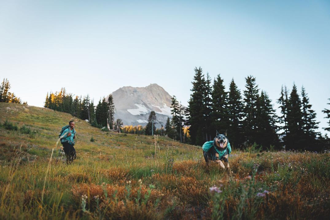 Location Image for Front Range Dog Day Pack