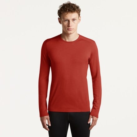 Icebreaker Merino 260 Tech Long-Sleeve Crewe Thermal Top - Men's 0