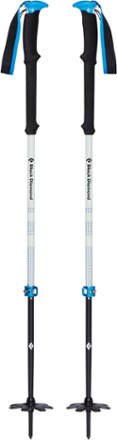 Black Diamond Expedition 2 Pro Ski Poles 1