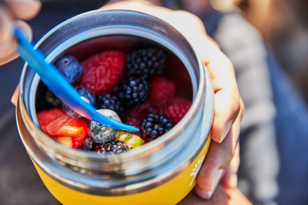 Hydro Flask Food Jar 20 fl. oz. REI Coop