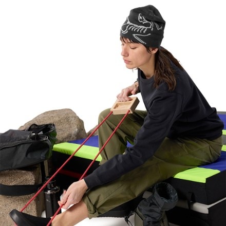 Arc'teryx Aestas Crew Pullover - Women's 4