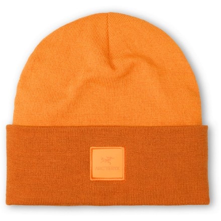 Arc'teryx Color Block Toque 0