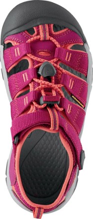 Top View (Very Berry/Fusion Coral)