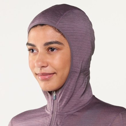 Icebreaker Merino Blend 200 RealFleece Descender Long-Sleeve Zip Hoodie - Women's 4