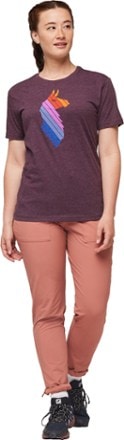 Cotopaxi Llama Stripe T-Shirt - Women's 3