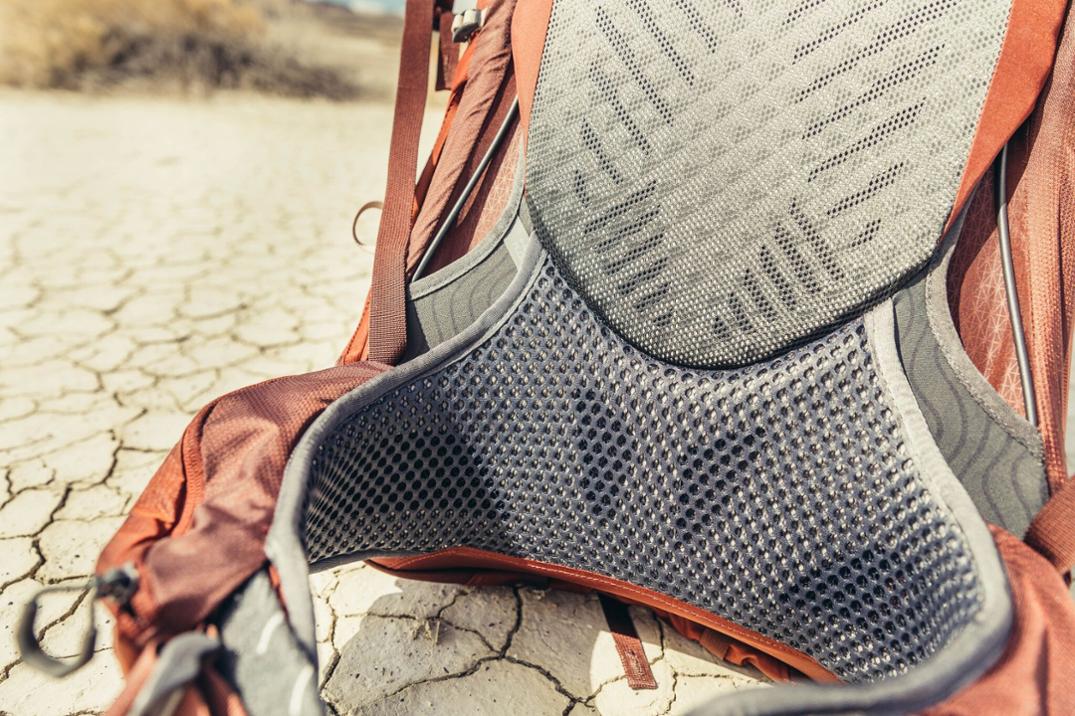 Location Image for Maven 45 Pack - Closeout - Women's