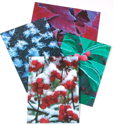 Sierra Club Assorted Boxed Holiday Cards REI Coop