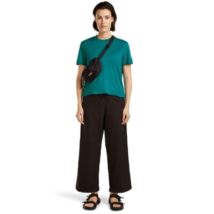 Icebreaker Merino 150 Tech Lite III Crop T-Shirt - Women's 4