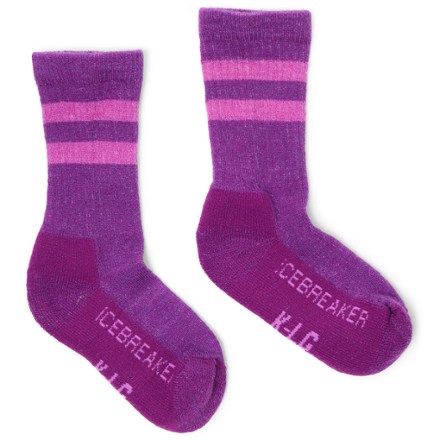 Icebreaker Hike Light Crew Macro Stripe Socks Purple L