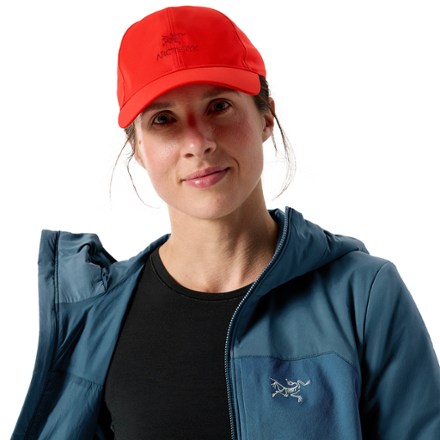 Arc'teryx Bird Word Cap | REI Co-op
