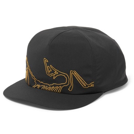 Arc'teryx Silex Cap 3