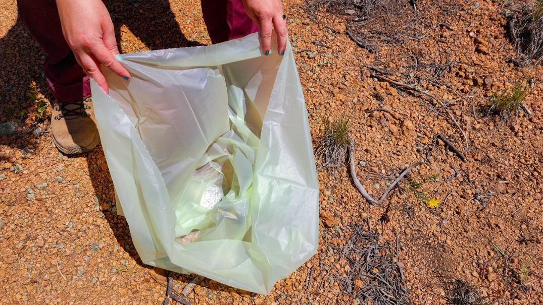 Location Image for Green Mountain Bag - Package of 12
