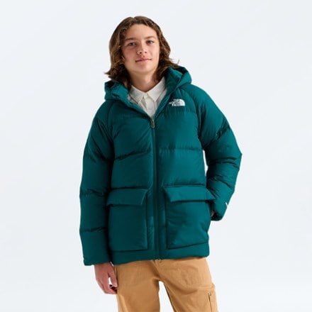 The North Face North Down Fleece-Lined Parka - Kids' 0