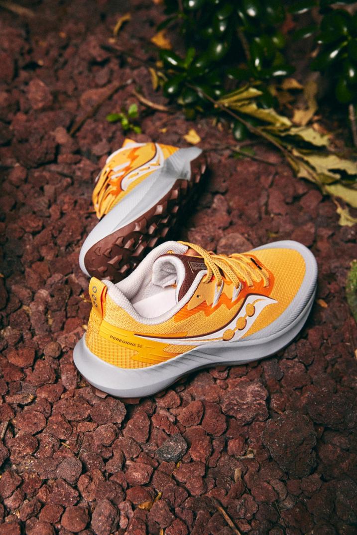 Location Image for Peregrine 14 Trail-Running Shoes - Women's